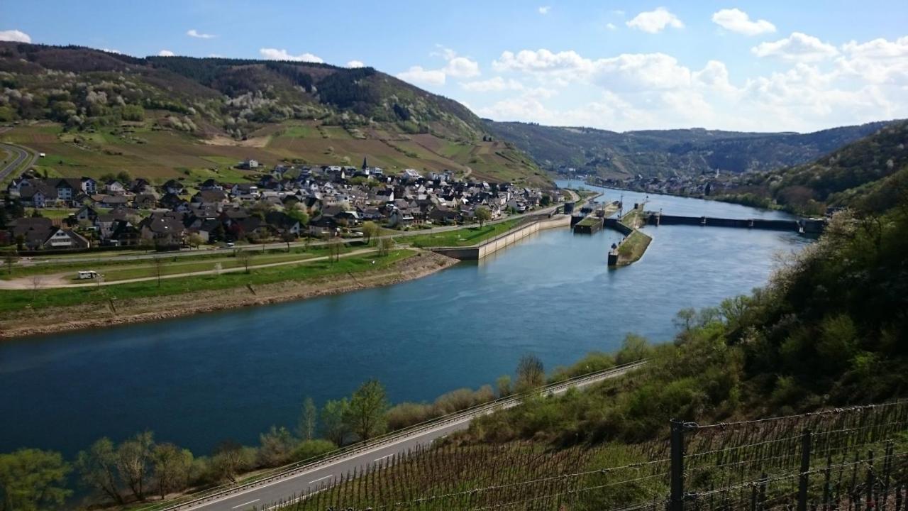 Ferienwohnungen Am Bruttiger Moselsteig Buitenkant foto