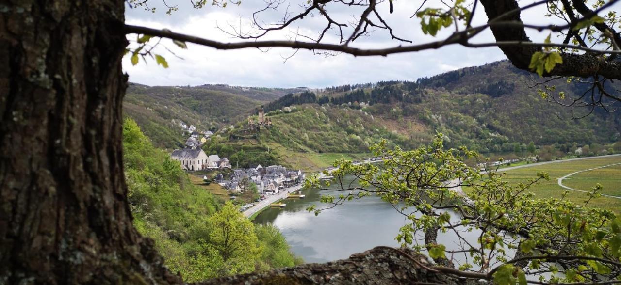 Ferienwohnungen Am Bruttiger Moselsteig Buitenkant foto