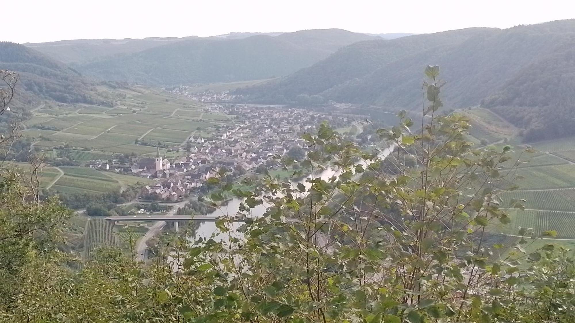 Ferienwohnungen Am Bruttiger Moselsteig Buitenkant foto