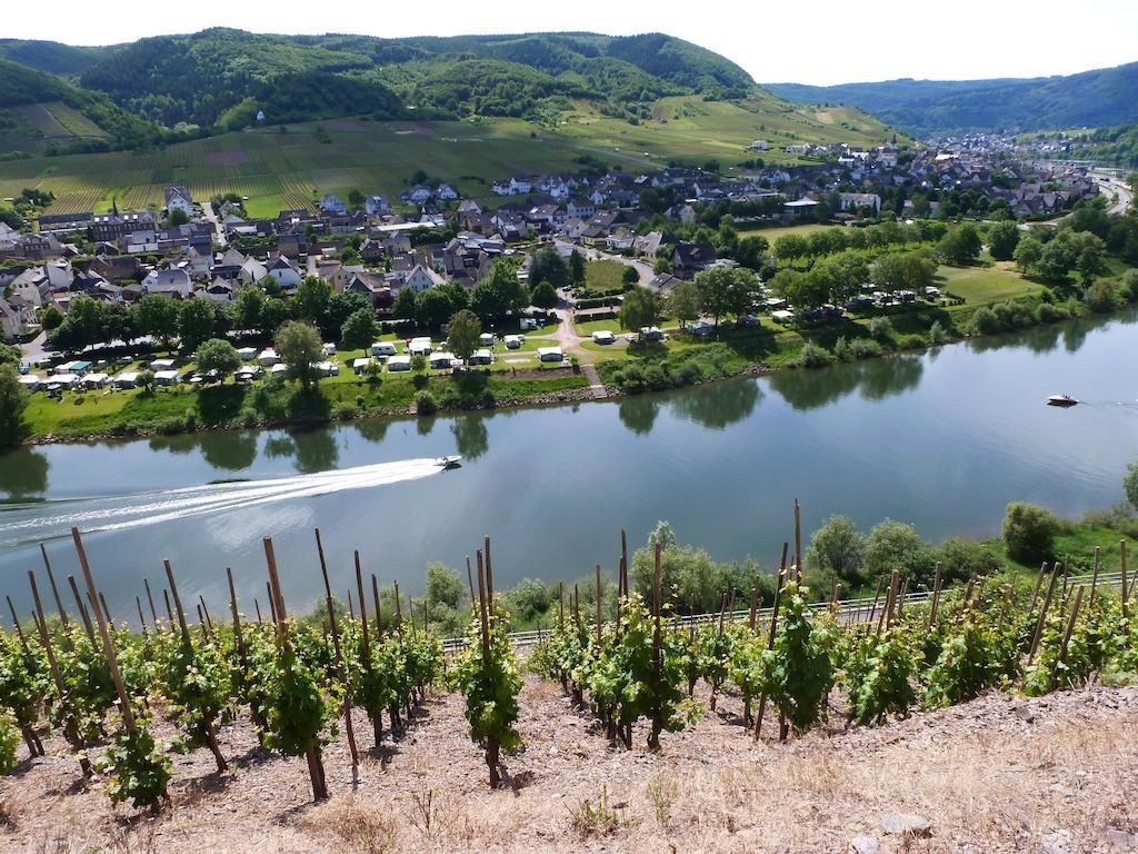 Ferienwohnungen Am Bruttiger Moselsteig Buitenkant foto