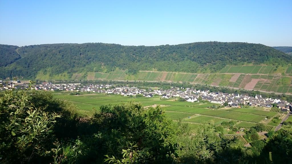 Ferienwohnungen Am Bruttiger Moselsteig Buitenkant foto