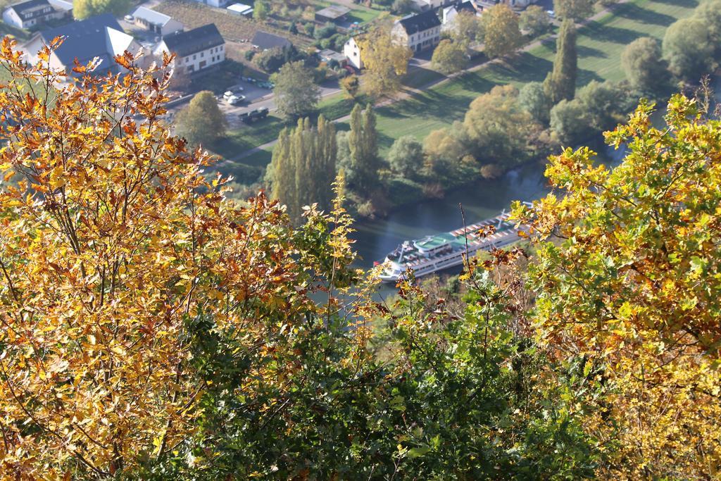 Ferienwohnungen Am Bruttiger Moselsteig Buitenkant foto