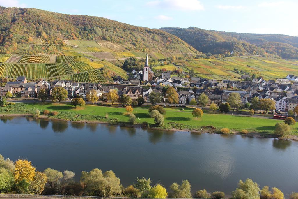 Ferienwohnungen Am Bruttiger Moselsteig Buitenkant foto