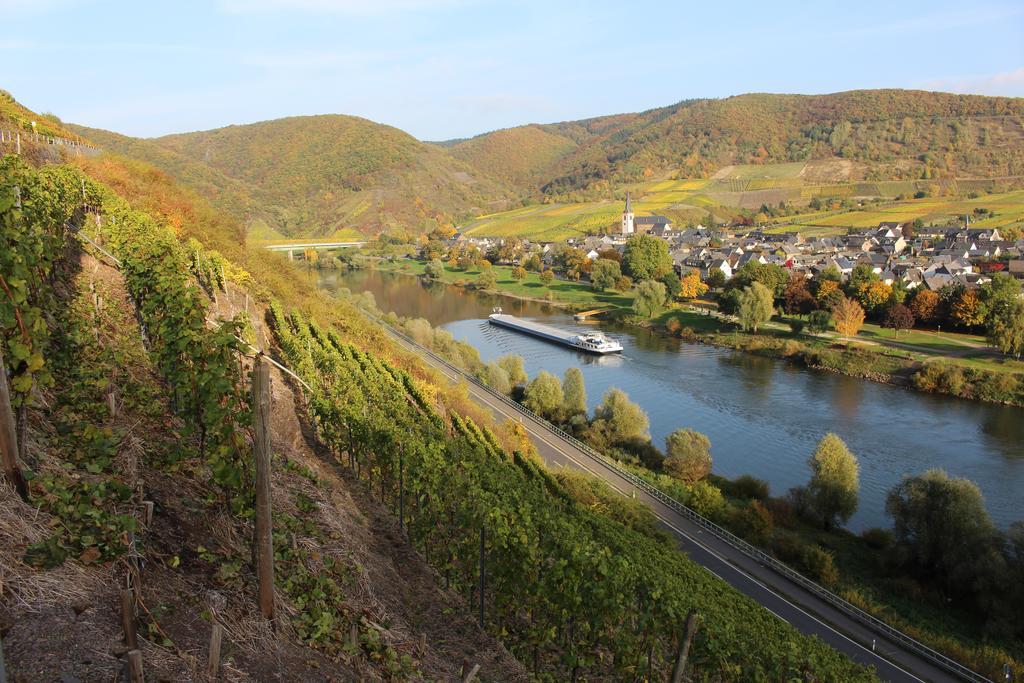 Ferienwohnungen Am Bruttiger Moselsteig Buitenkant foto