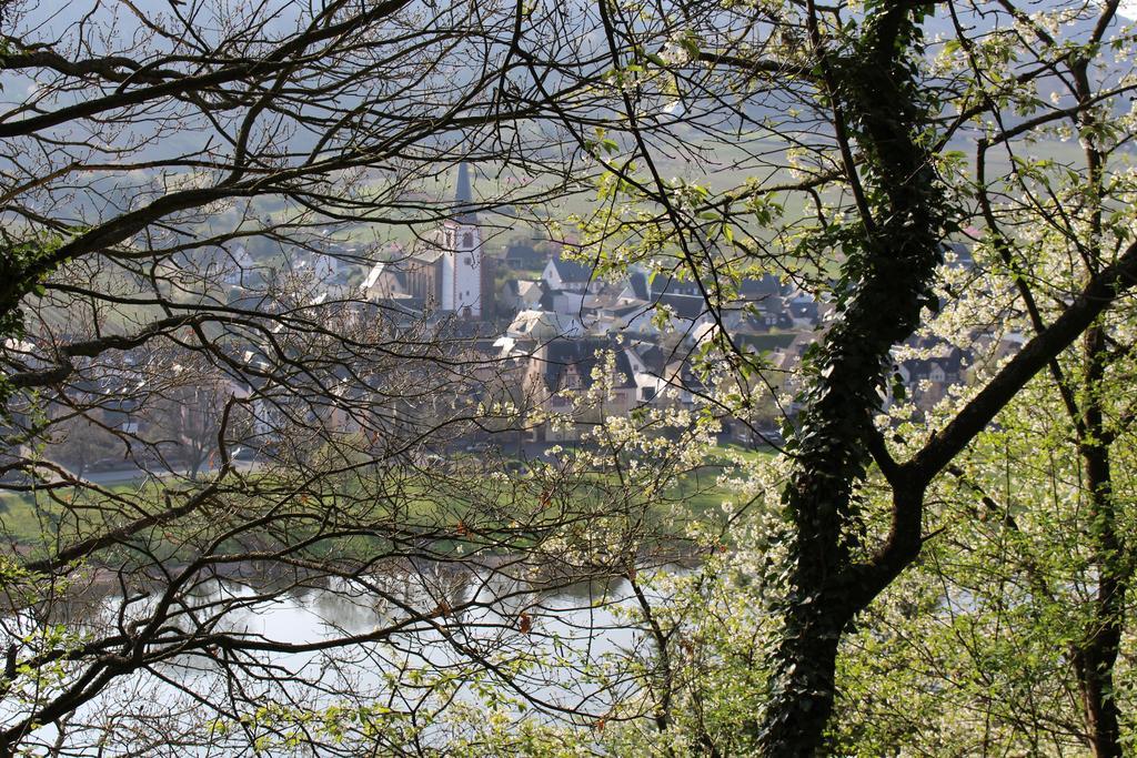 Ferienwohnungen Am Bruttiger Moselsteig Buitenkant foto