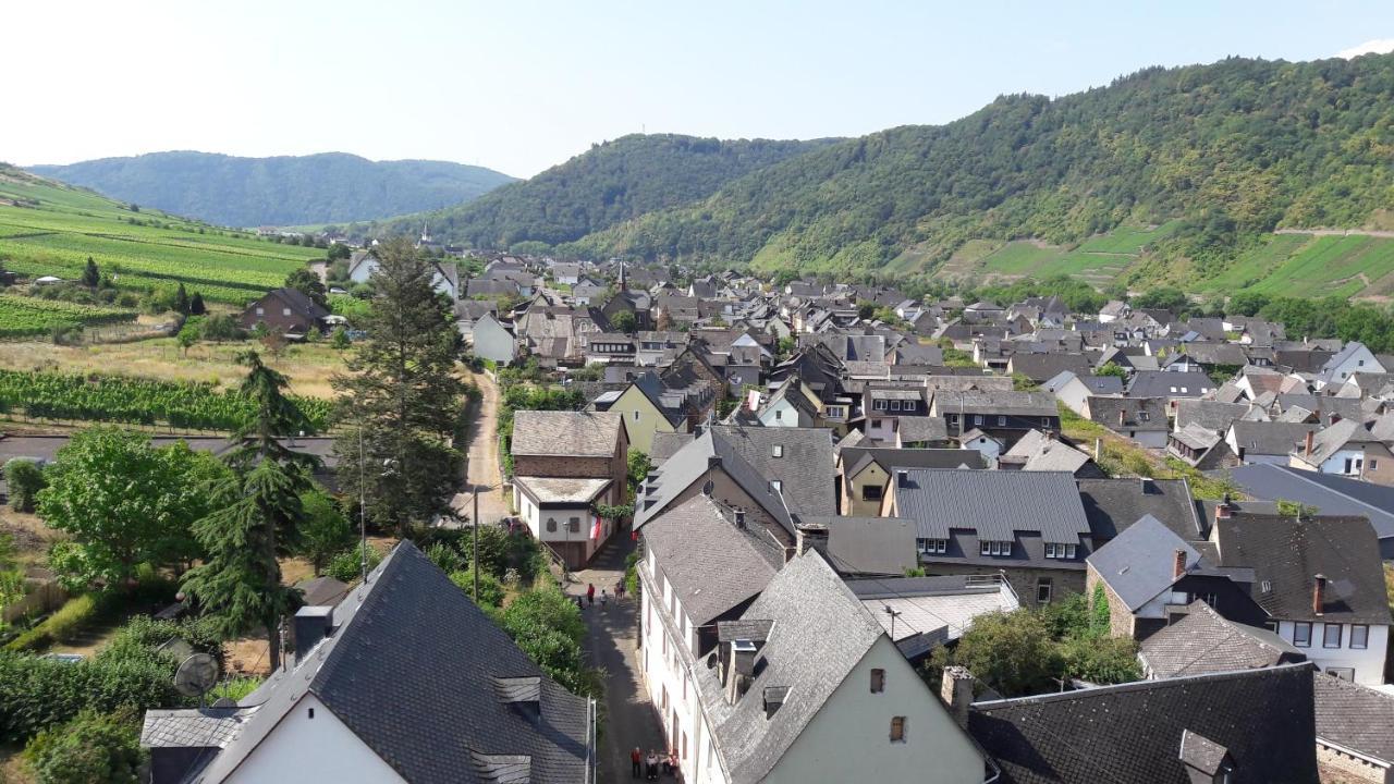Ferienwohnungen Am Bruttiger Moselsteig Buitenkant foto