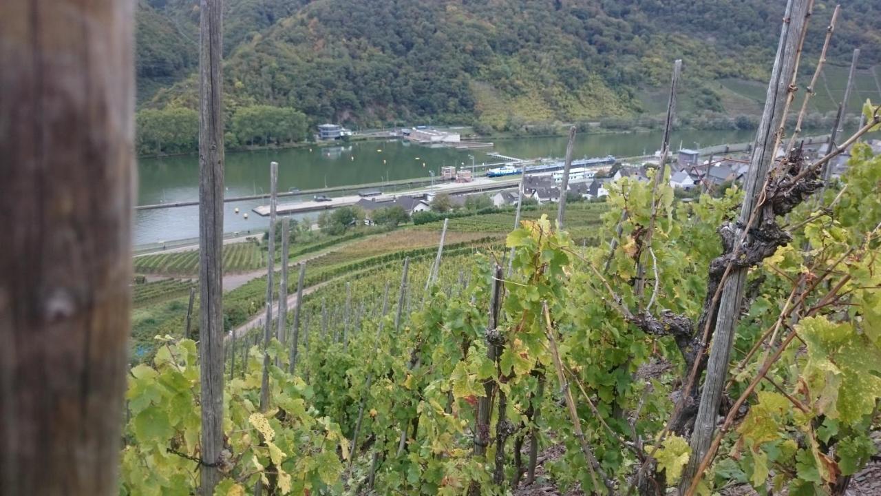 Ferienwohnungen Am Bruttiger Moselsteig Buitenkant foto